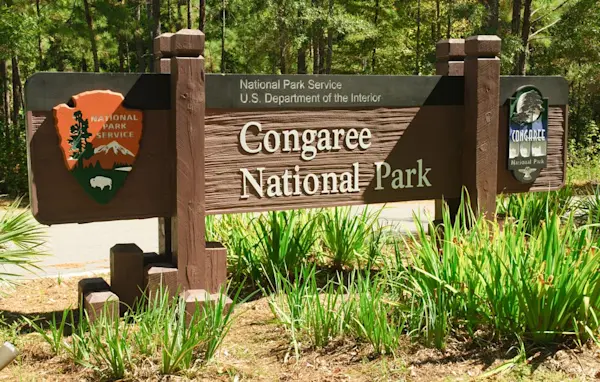 RV Resorts & Campsites near Congaree National Park